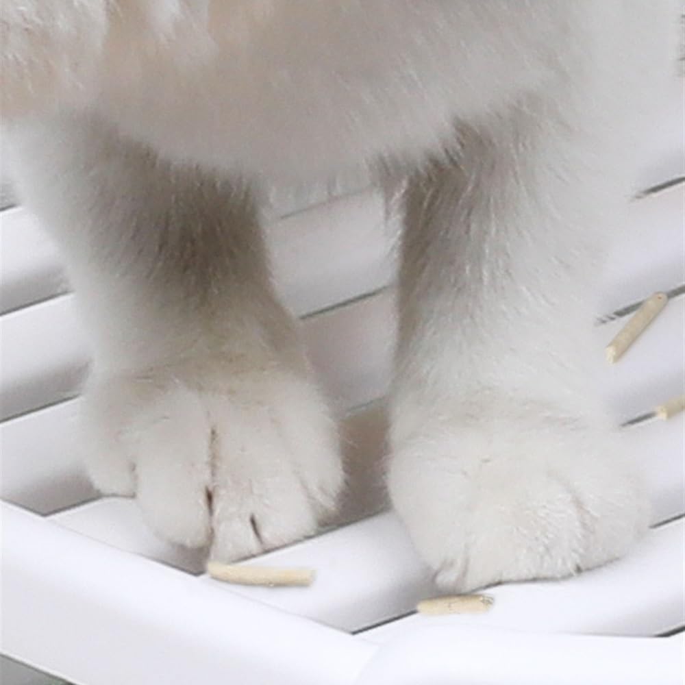 Enclosed Top-Entry Cat Litter Box with Scoop G760