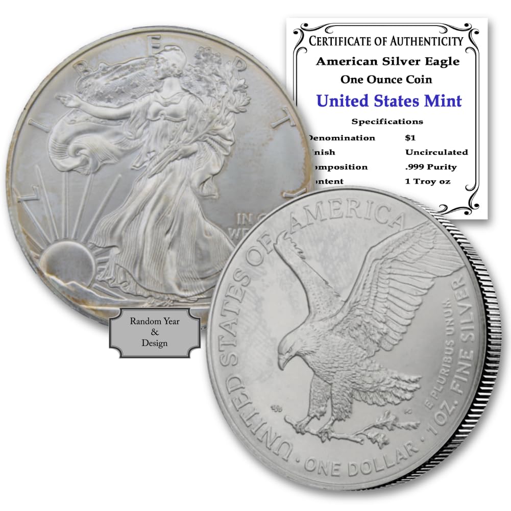 1 oz American Silver Eagle Coin R8496