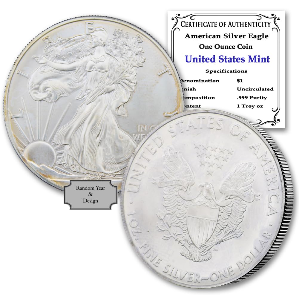 1 oz American Silver Eagle Coin R8496