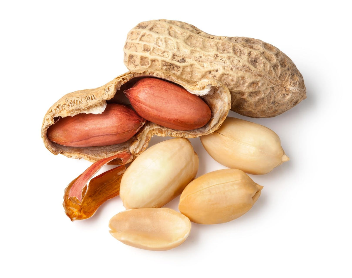 Whole in Shell Raw Peanuts 2.5 Pounds X2342
