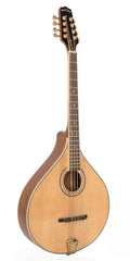 Octave Mandolin J728769