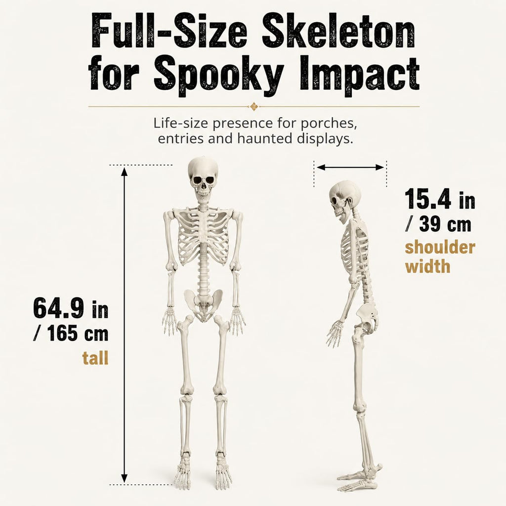 5.4 FT Poseable Skeleton H4389