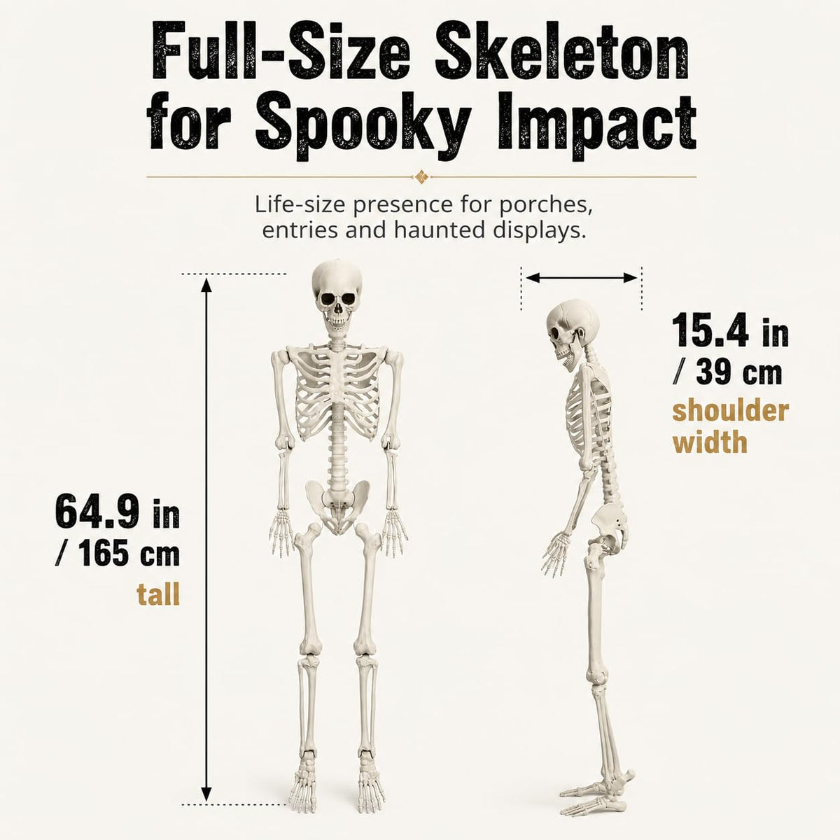 5.4 FT Poseable Skeleton H4389