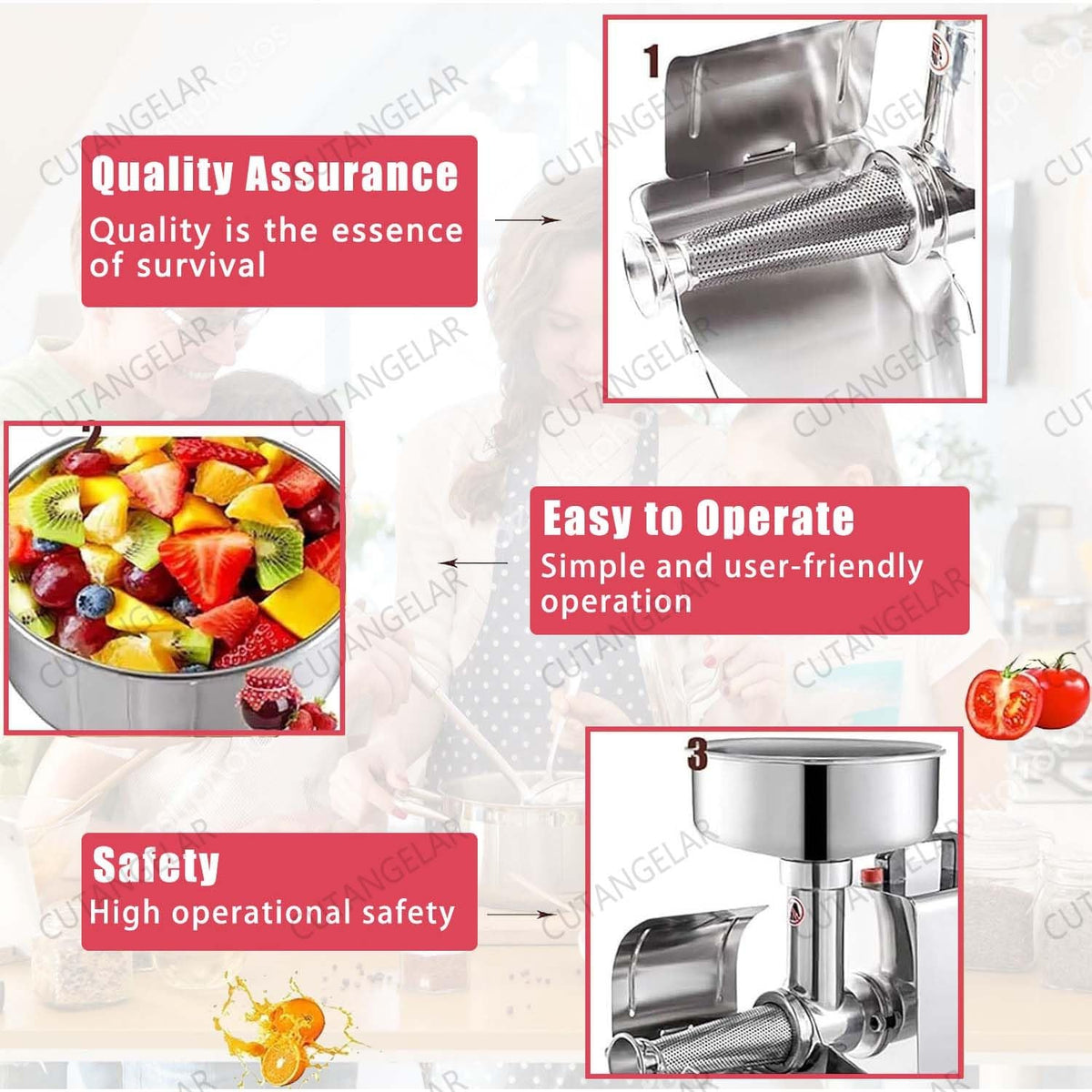 450W Stainless Steel Food Juicer C282100