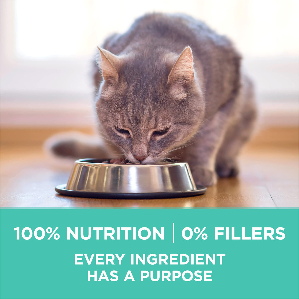 Sensitive Skin and Stomach Dry Cat Food 16 lb Bag U515026