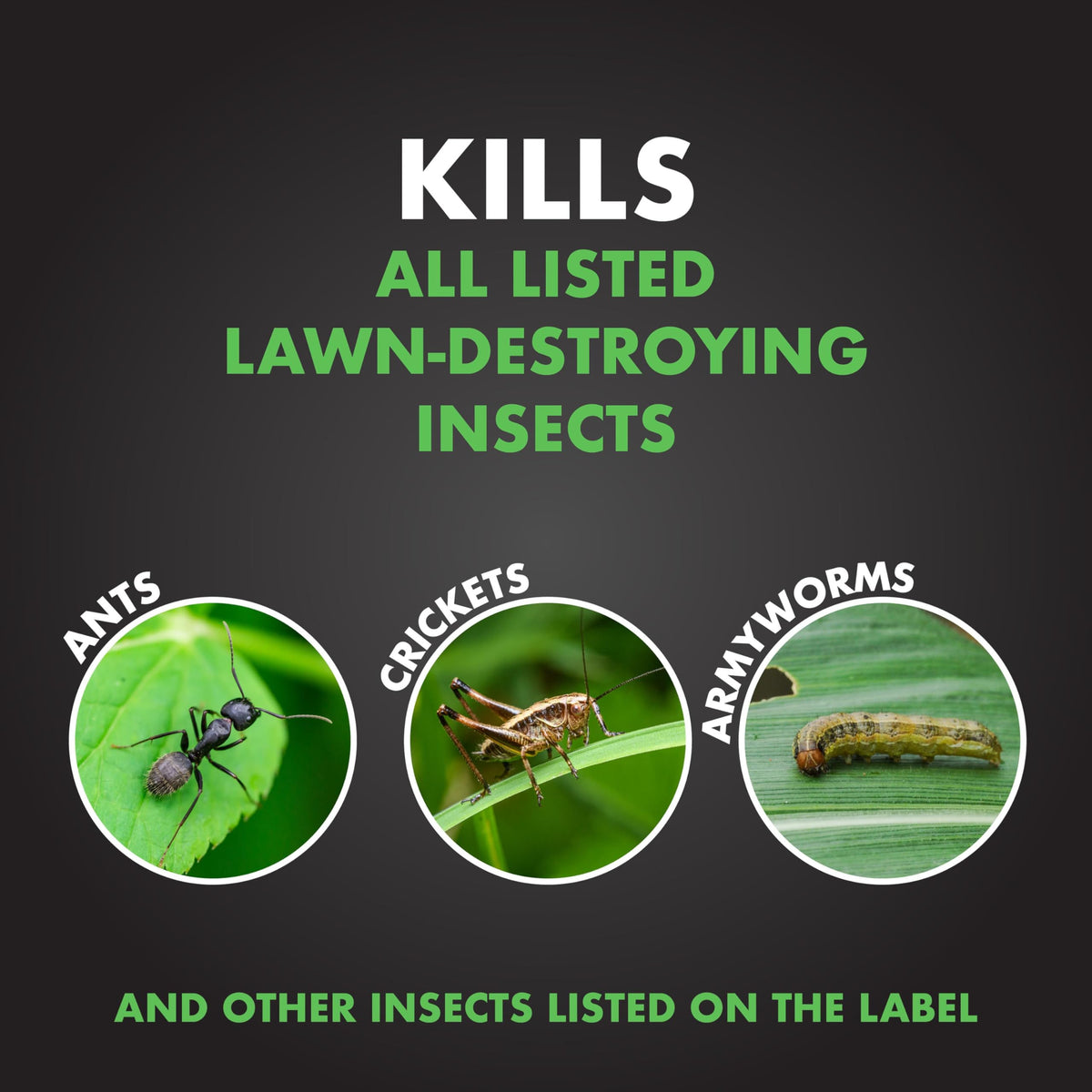 20 lb Granules Insect Killer F60290