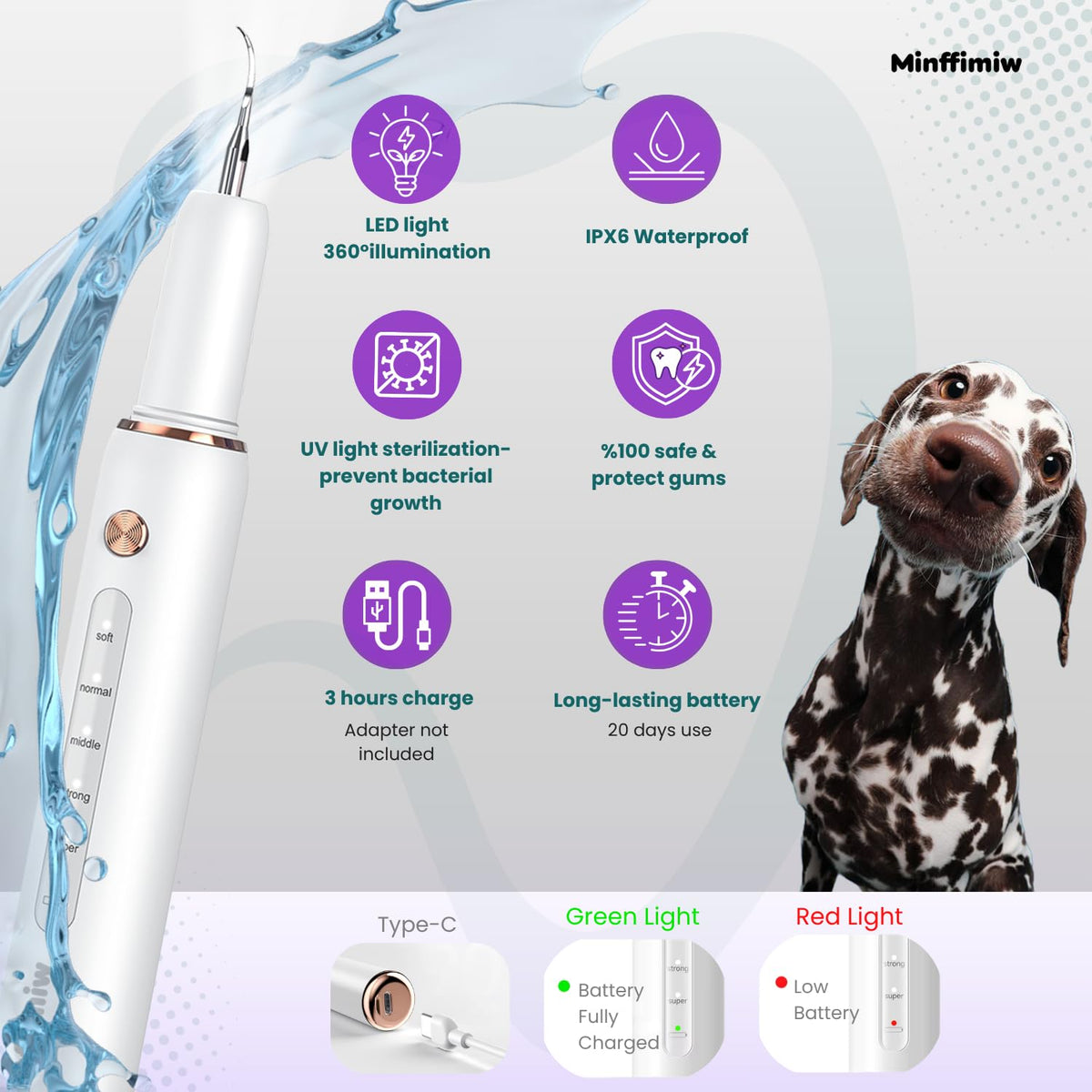 Dog Teeth Cleaning Kit with LED Light D774606