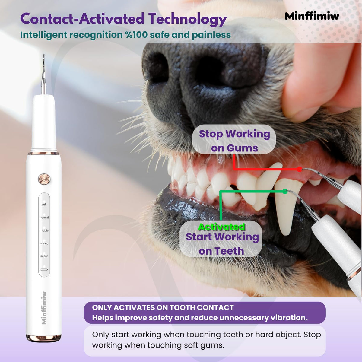 Dog Teeth Cleaning Kit with LED Light D774606