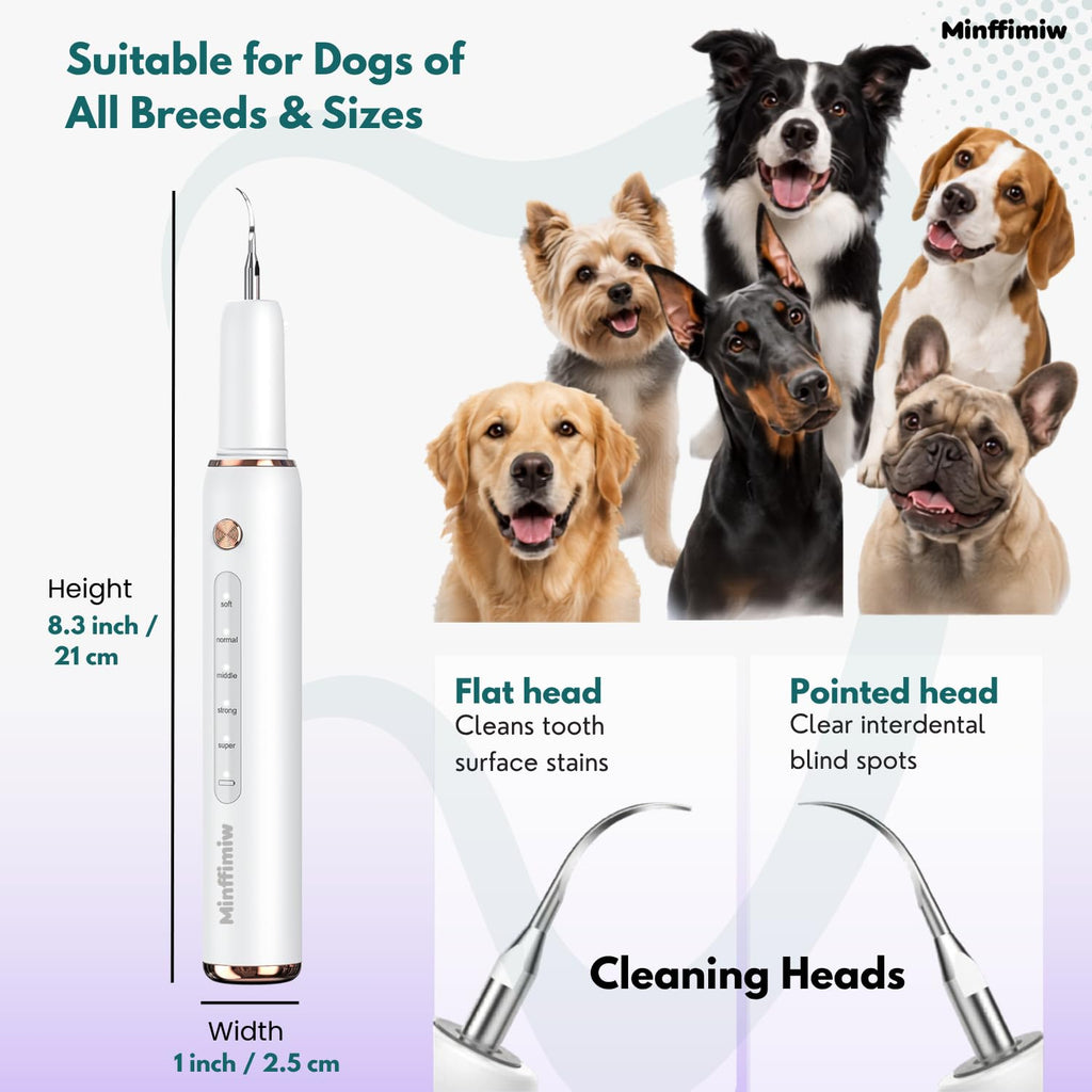 Dog Teeth Cleaning Kit with LED Light D774606