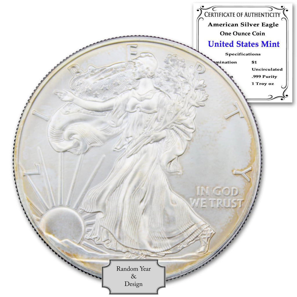 1 oz American Silver Eagle Coin R8496