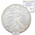 1 oz American Silver Eagle Coin R8496