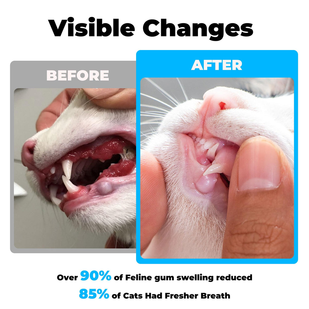 Chicken Flavor Cat Dental Care Powder 2.11 oz M9343