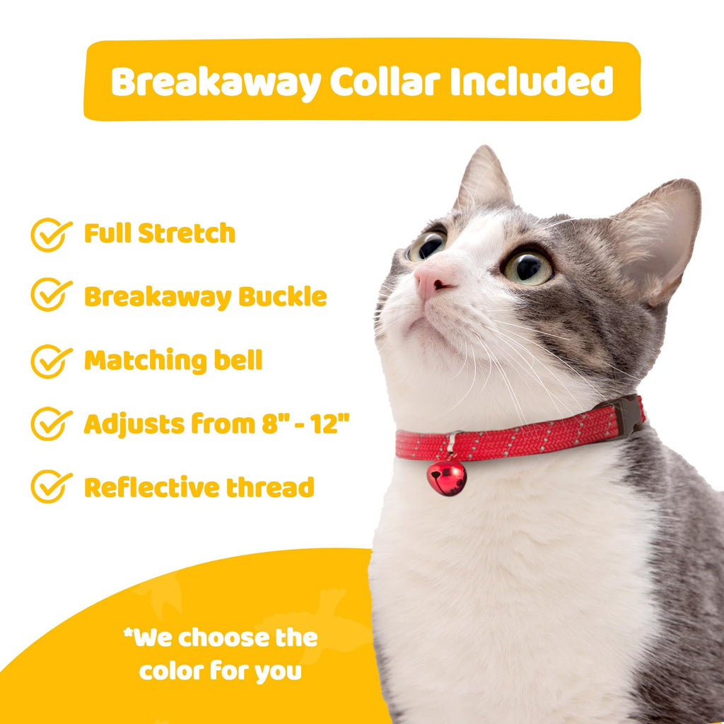 Cat Collar Cover & Breakaway Collar Set Y466