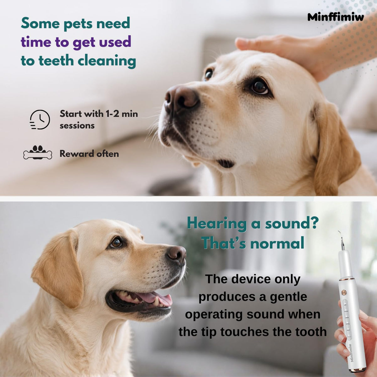 Dog Teeth Cleaning Kit with LED Light D774606