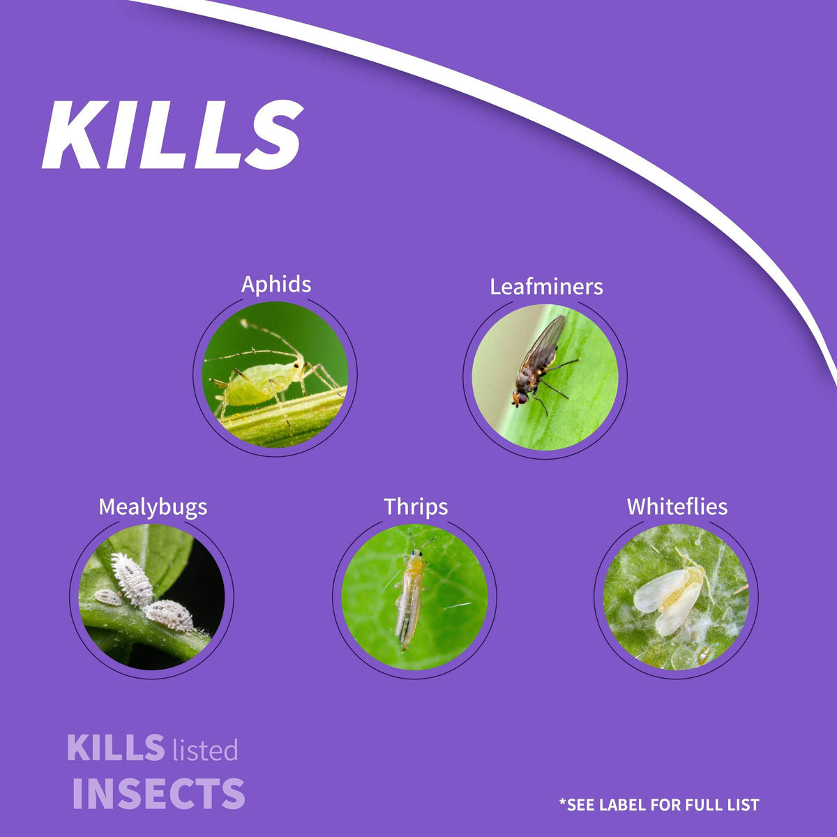 1 lb Insect Killer Granules L789