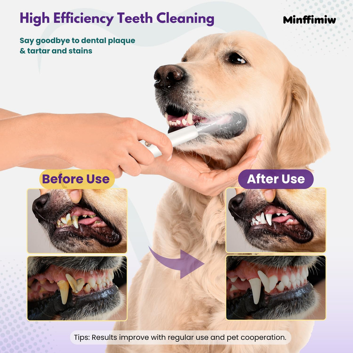 Dog Teeth Cleaning Kit with LED Light D774606