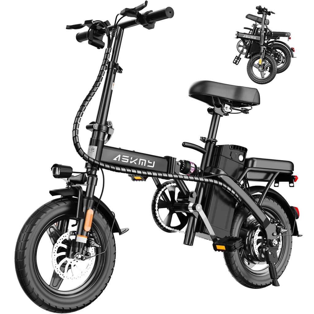 Folding Electric Bike L969