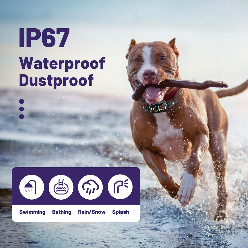 Rechargeable Anti Bark Training Collar 2 Pack I115622