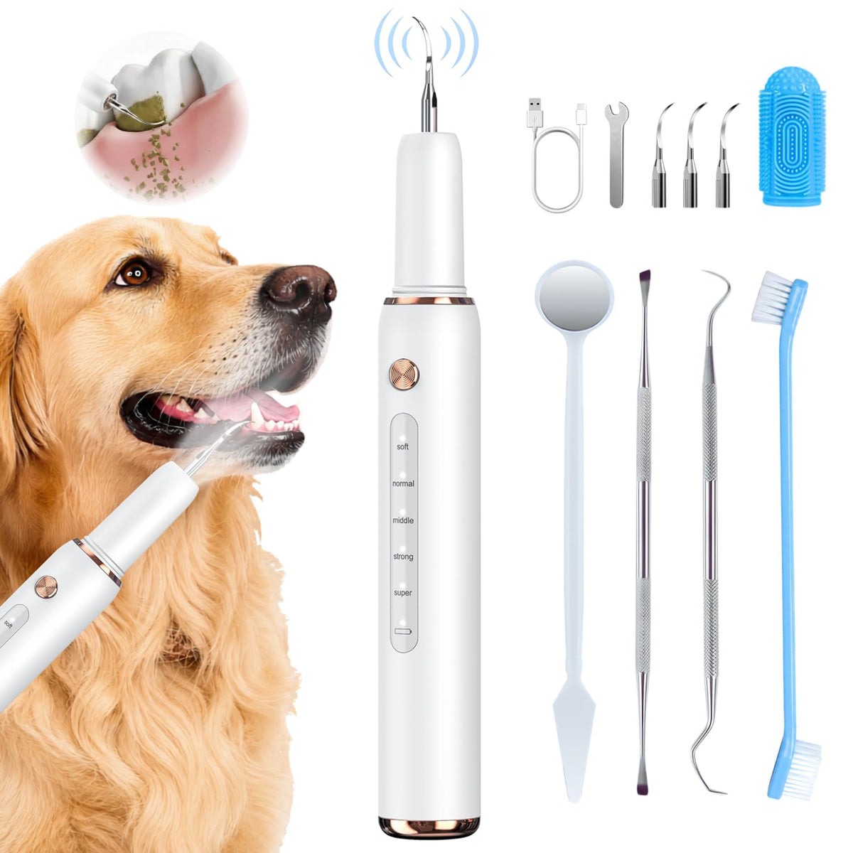 Dog Teeth Cleaning Kit with LED Light D774606