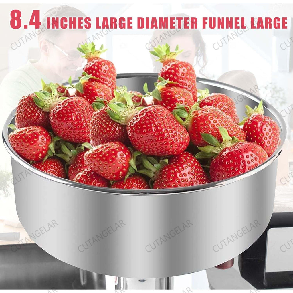 450W Stainless Steel Food Juicer C282100