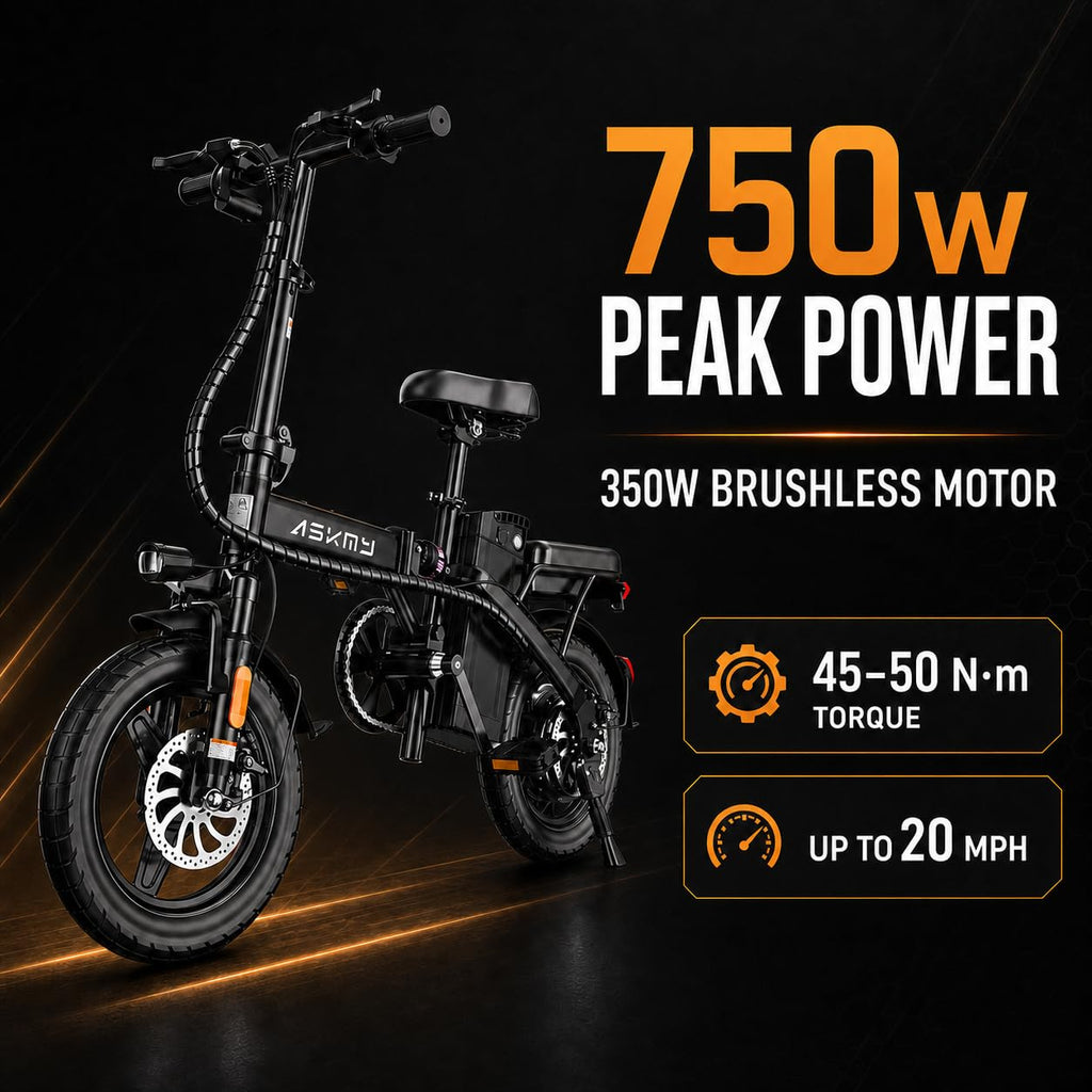 Folding Electric Bike L969