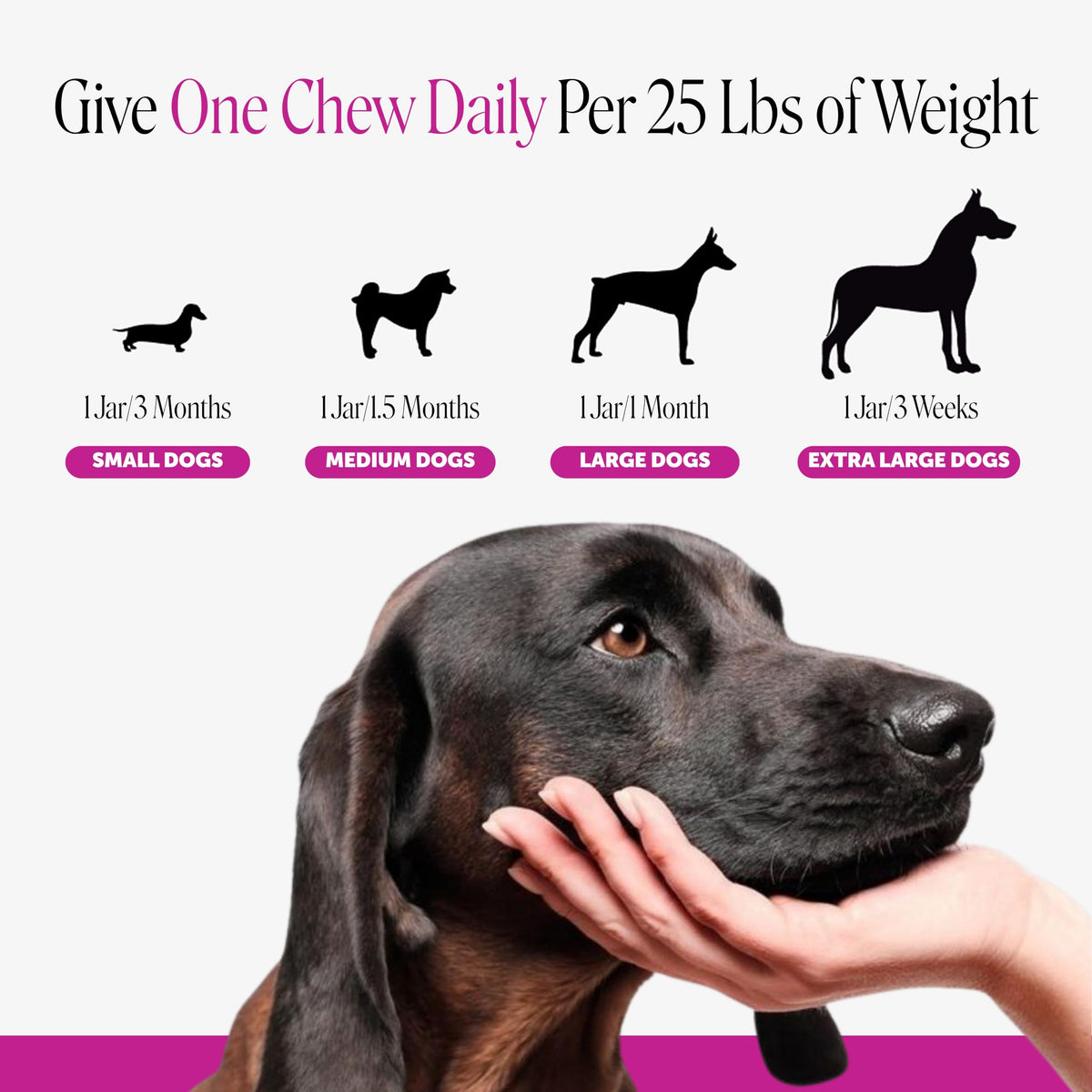 90 Ct Dog Multivitamin M696