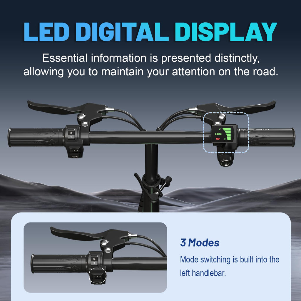 Folding Electric Bike L969