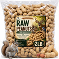 Roasted Unsalted Peanuts in Shell 2 lb Bag B51143