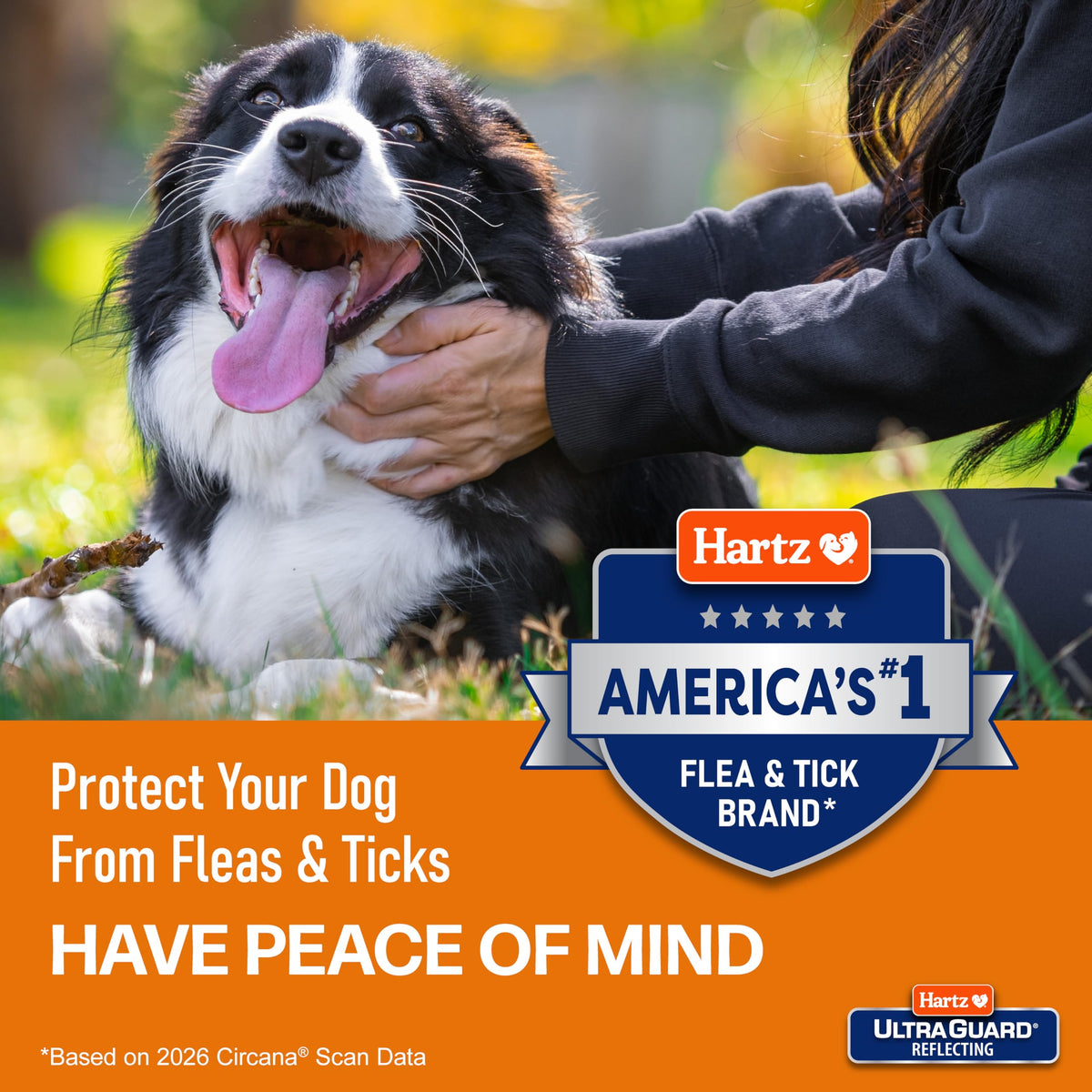 Flea & Tick Collar for Dogs and Puppies I8298