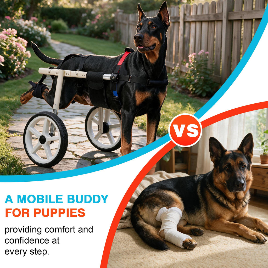 Adjustable Large Dog Wheelchair O607