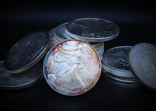 1 oz American Silver Eagle Coin R8496