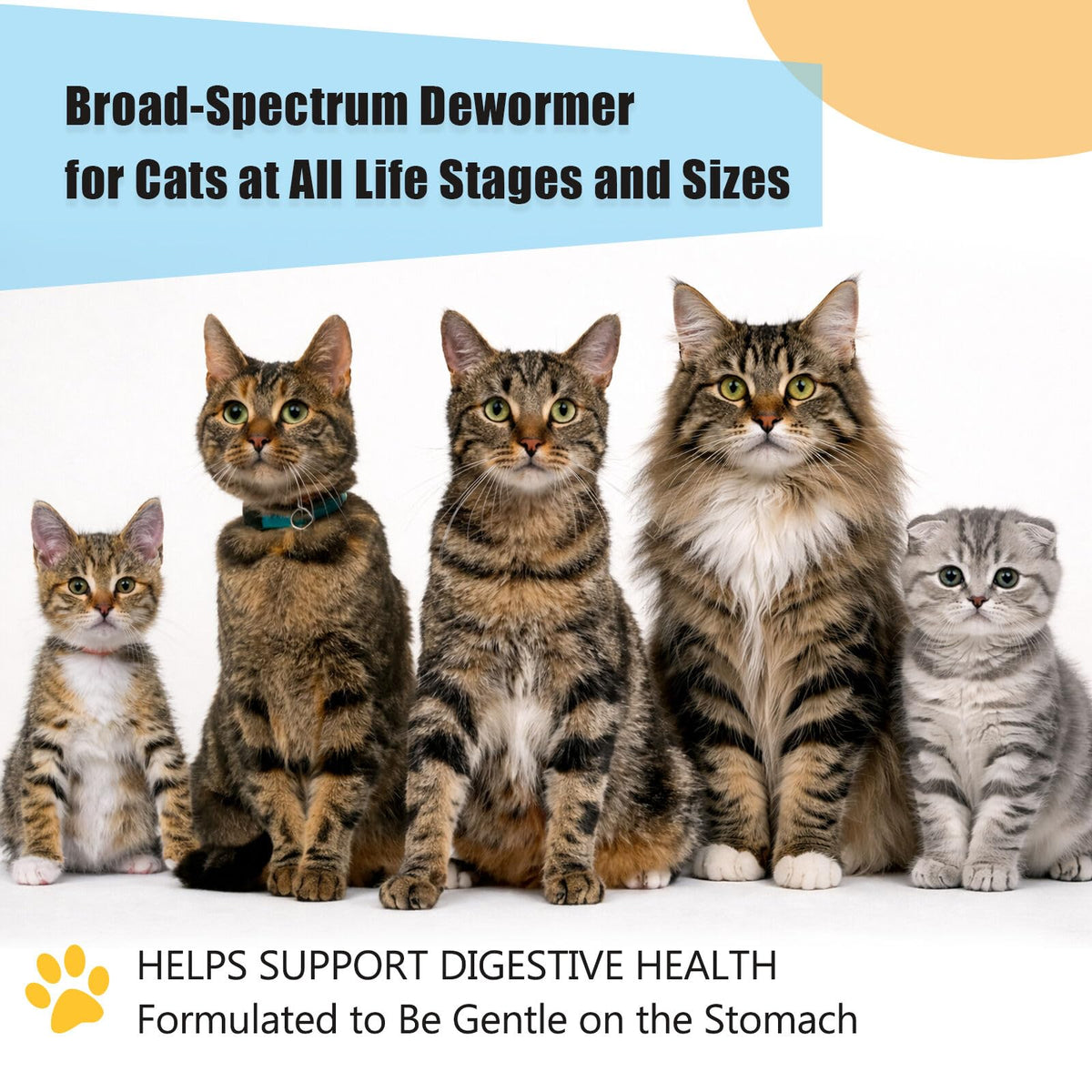 Dewormer for Cats and Kittens M8143
