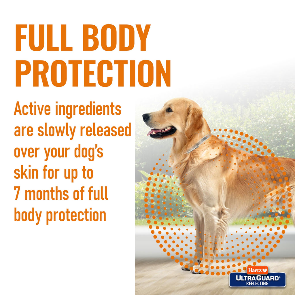 Flea & Tick Collar for Dogs and Puppies I8298