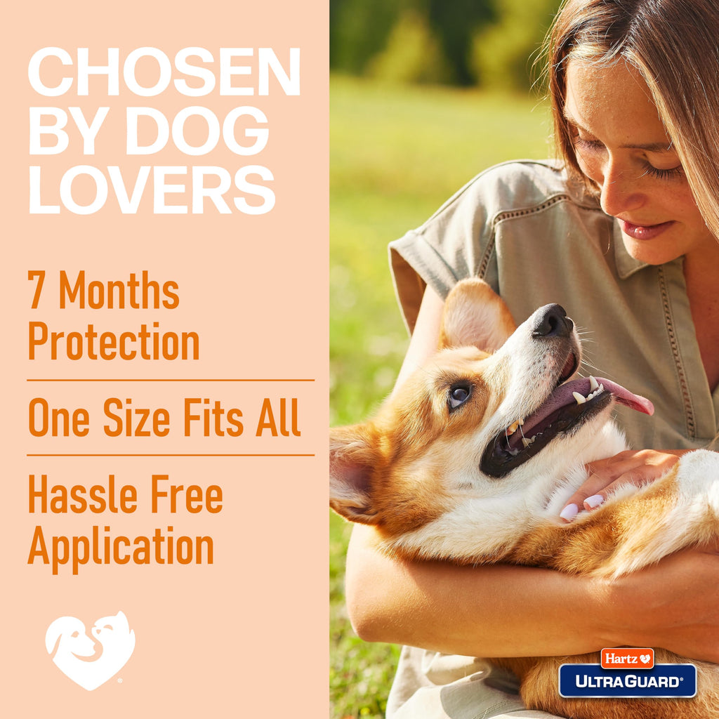 Flea & Tick Collar for Dogs and Puppies I8298
