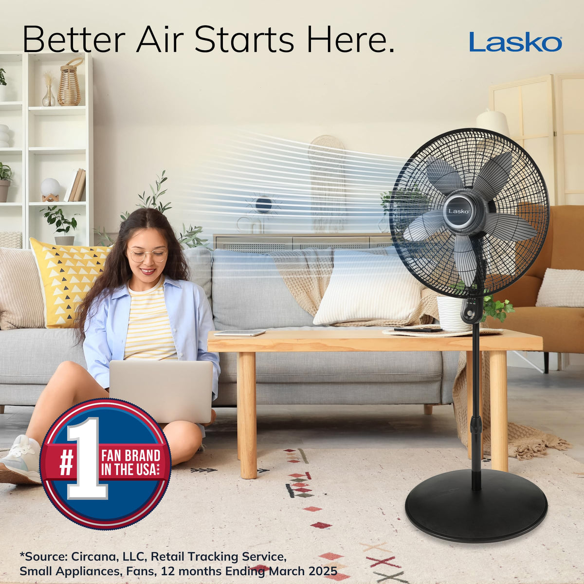 Oscillating Pedestal Fan 20" Black R74233