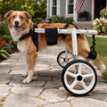 Adjustable Large Dog Wheelchair O607