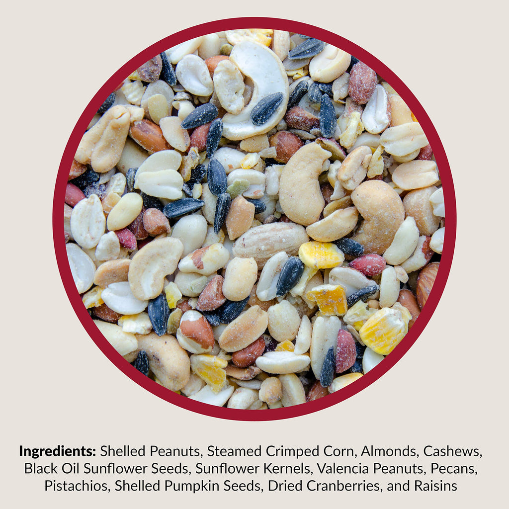 Fruit and Nut Wild Bird Seed Mix 20 lbs Z398